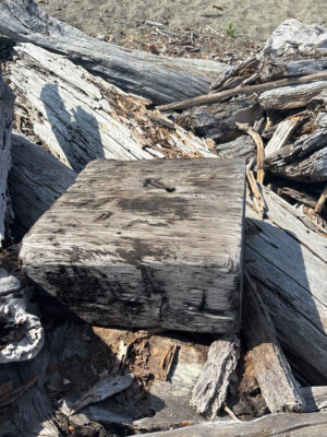 a pile of cut logs (MyCoast AI)