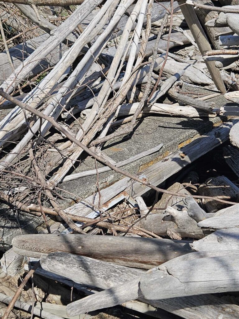 a pile of wood (MyCoast AI)