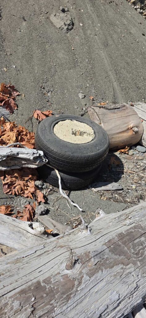 a black tire on a wood surface (MyCoast AI)