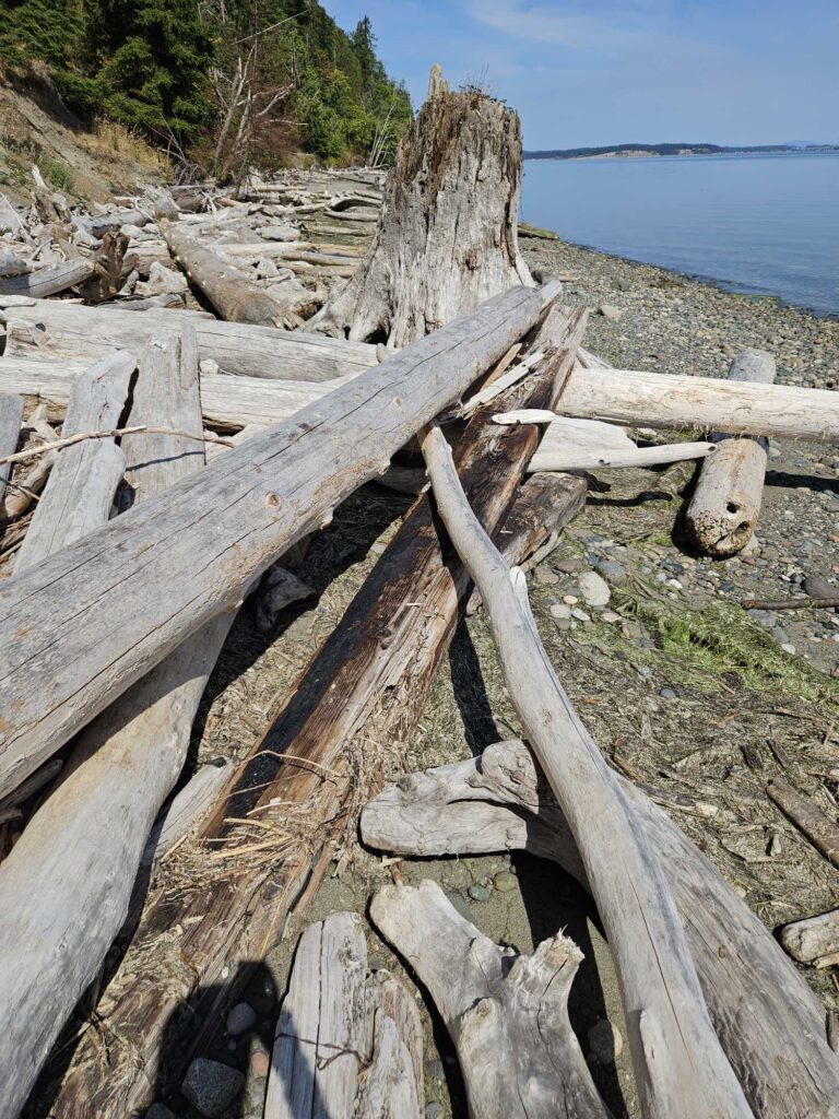 a wooden fence on a beach (MyCoast AI)