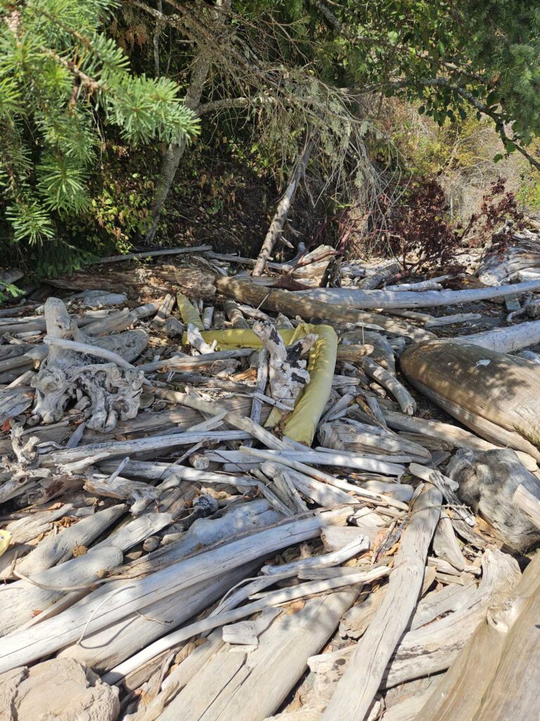 a pile of wood (MyCoast AI)