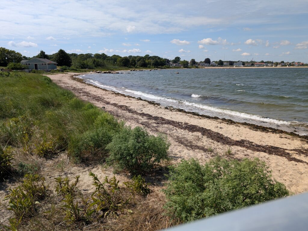 a beach with a body of water (MyCoast AI)