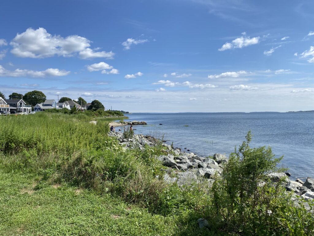 a grassy area next to a body of water (MyCoast AI)