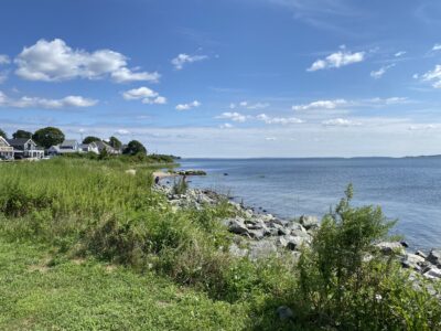 a grassy area next to a body of water (MyCoast AI)