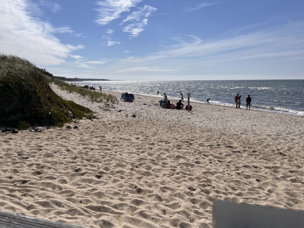people on a beach (MyCoast AI)