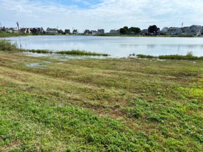 a body of water with grass and buildings in the background (MyCoast AI)