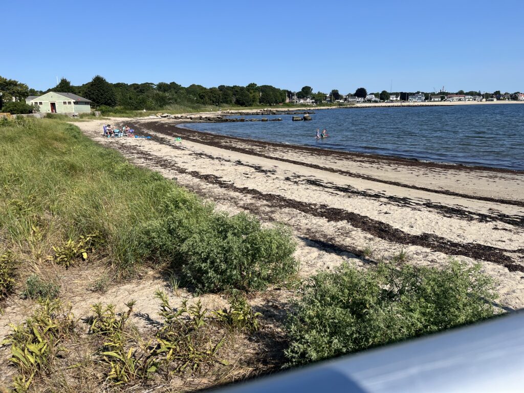 a beach with people on it (MyCoast AI)