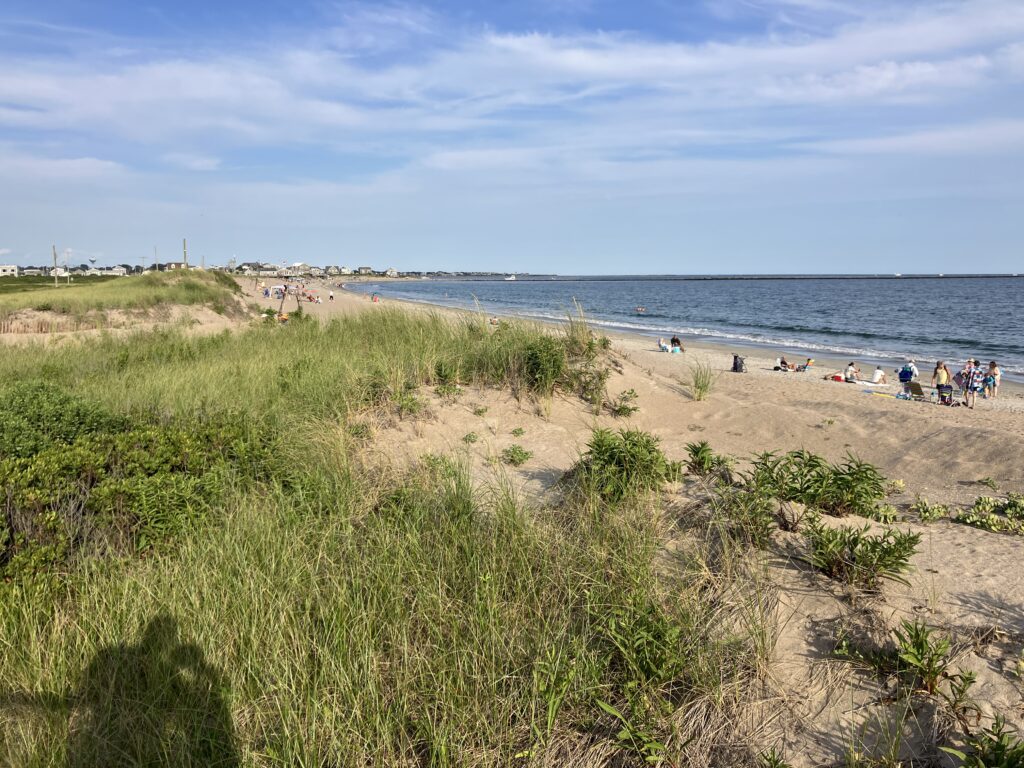 a group of people on a beach (MyCoast AI)