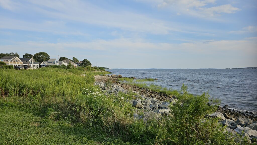 a grassy area next to a body of water (MyCoast AI)