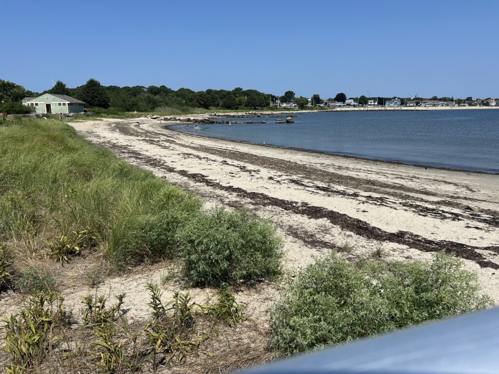 a beach with a body of water (MyCoast AI)