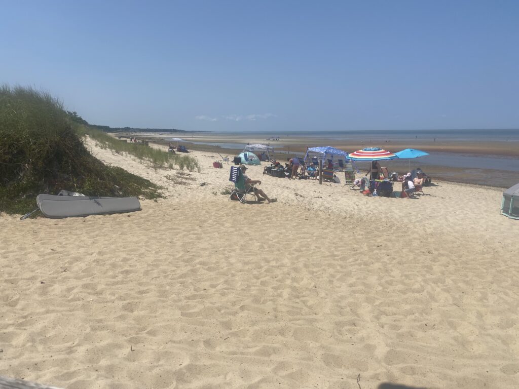 people sitting on a beach (MyCoast AI)