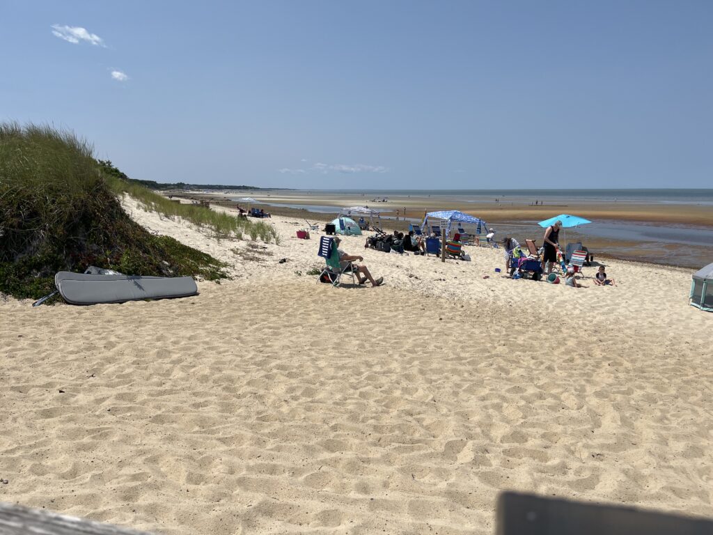 people on a beach (MyCoast AI)