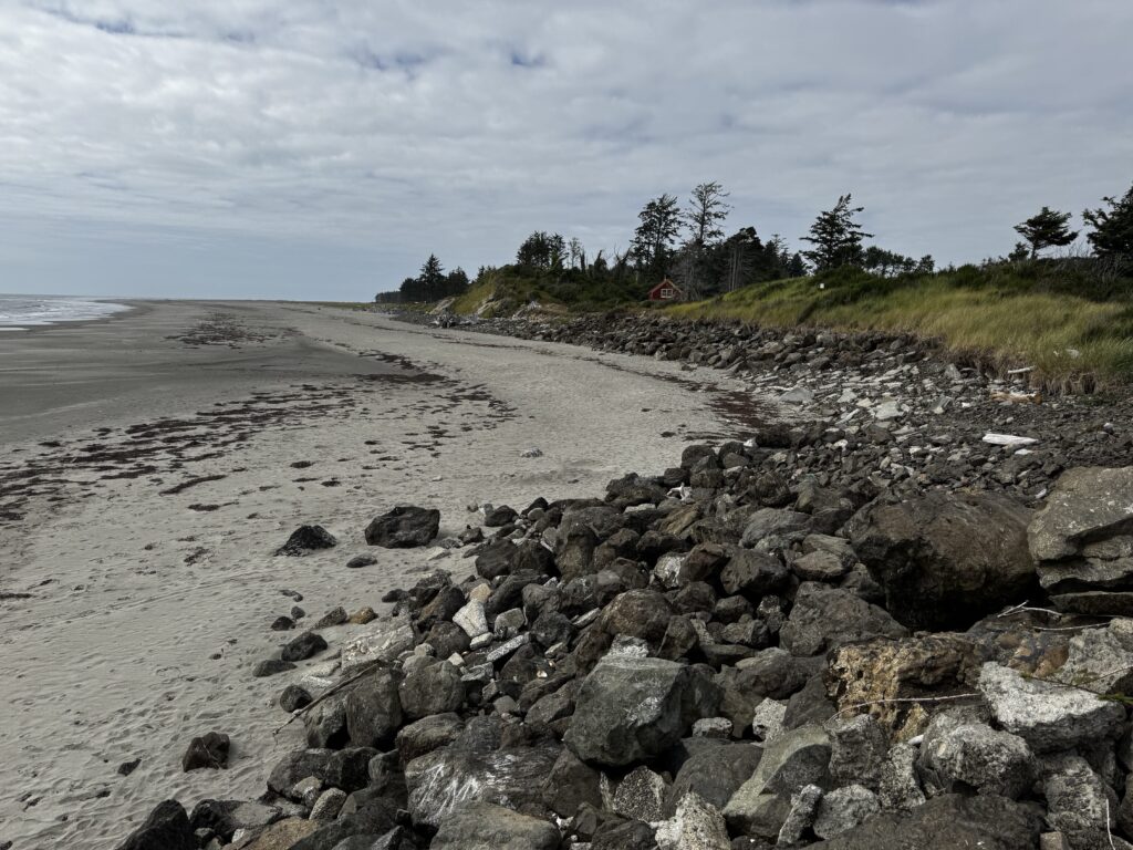 a rocky beach with trees in the background (MyCoast AI)