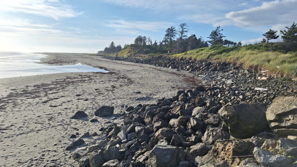 a rocky beach with trees and grass (MyCoast AI)