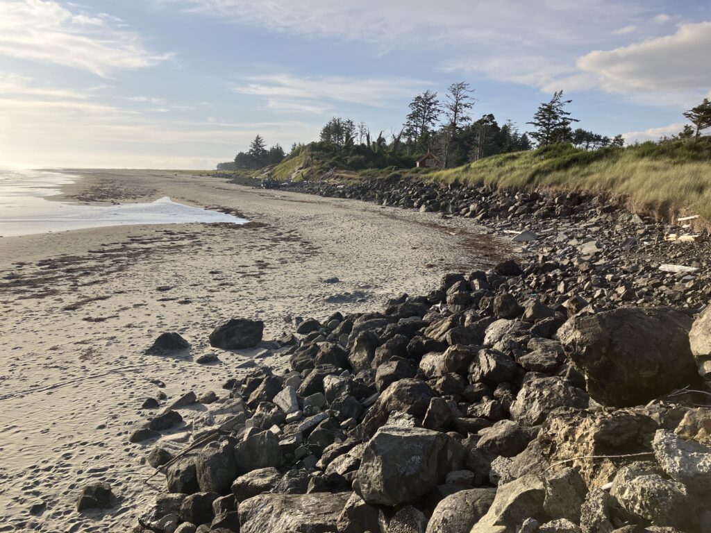 a rocky beach with trees in the background (MyCoast AI)