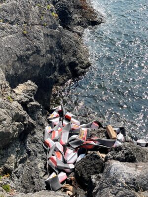 a group of kayaks on rocks by the water (MyCoast AI)