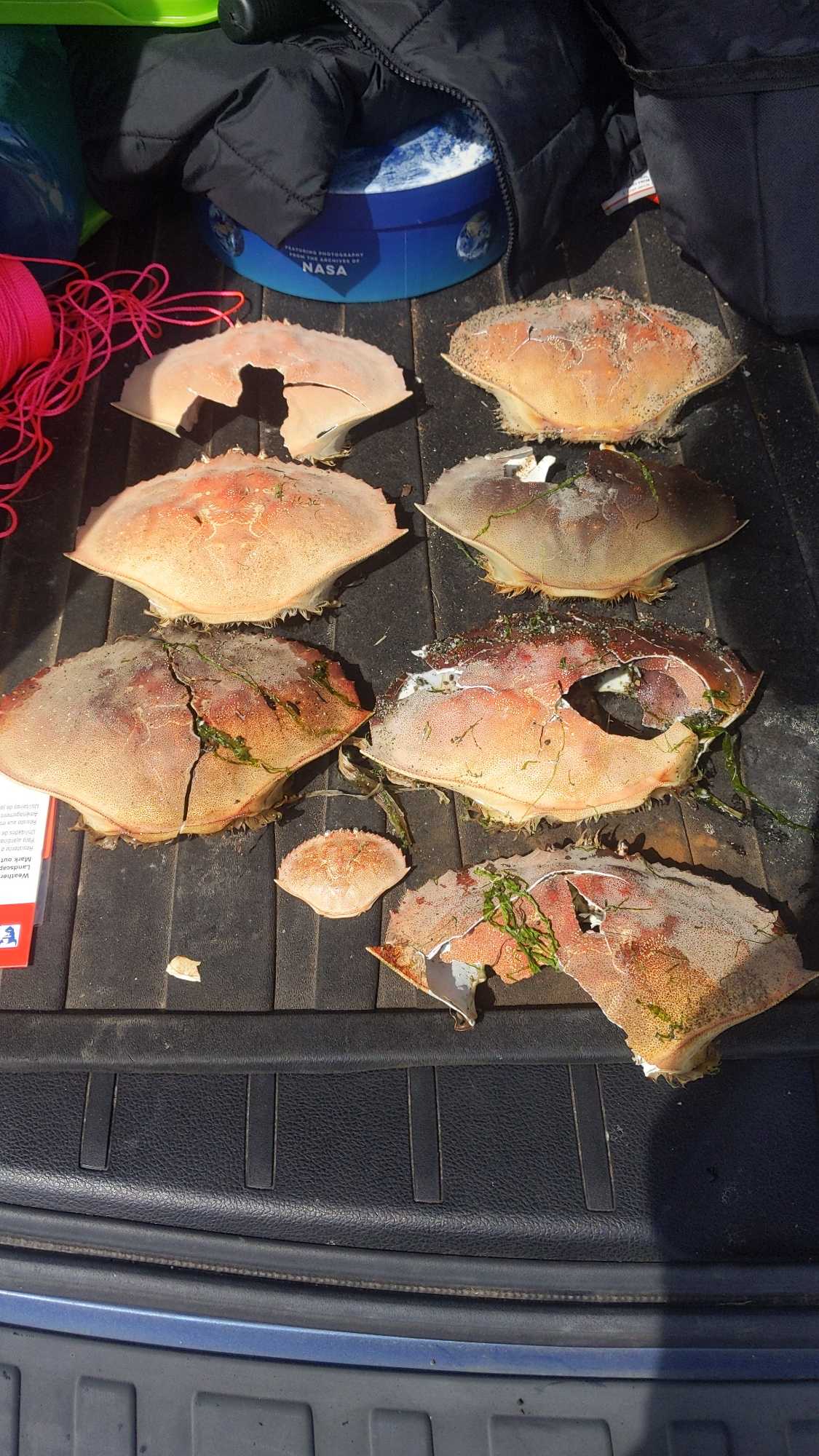 5bda8c52e63dbdb4d4406c24be1d5bc8a3d45ae4