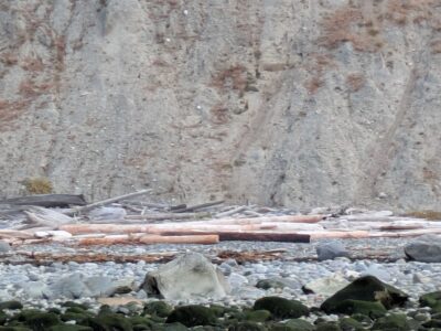 a rocky area with a river running through it (MyCoast AI)