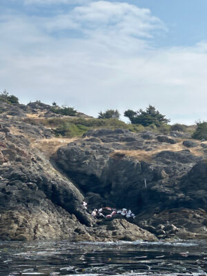 a rocky cliff next to a body of water (MyCoast AI)