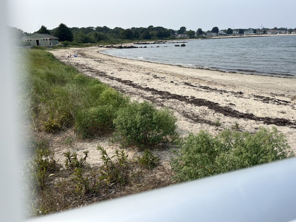 a beach with grass and sand (MyCoast AI)