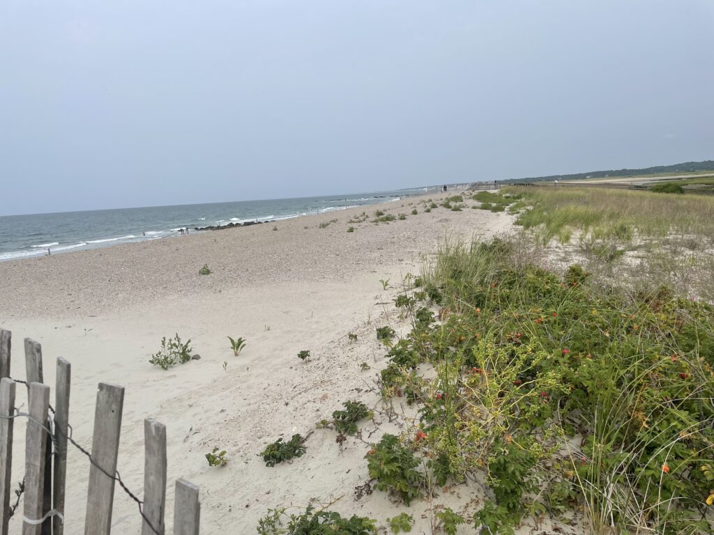a sandy beach with a fence (MyCoast AI)