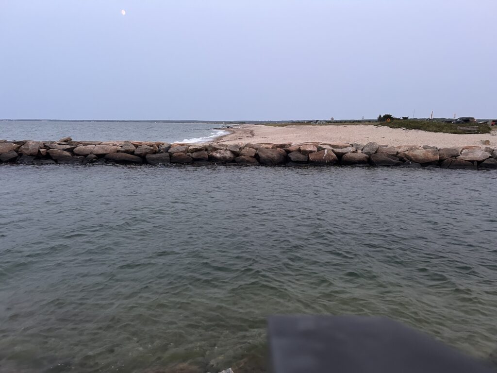 a rocky beach with a body of water in the background (MyCoast AI)