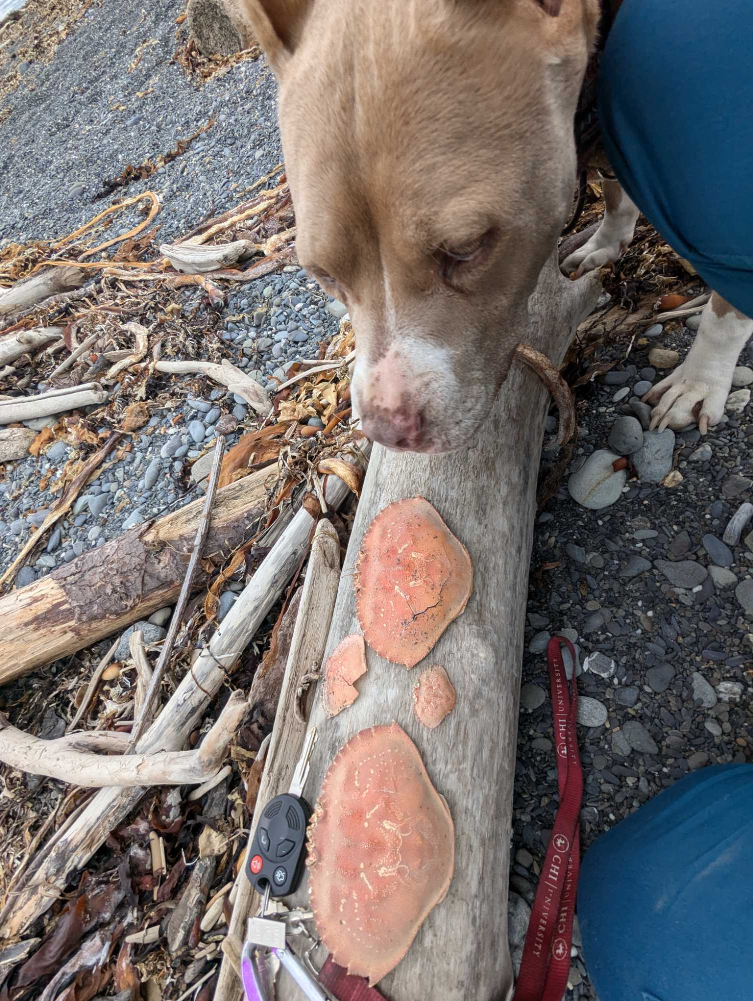 5339c428d1f7dacc95895c4d1490f33a3c904b62