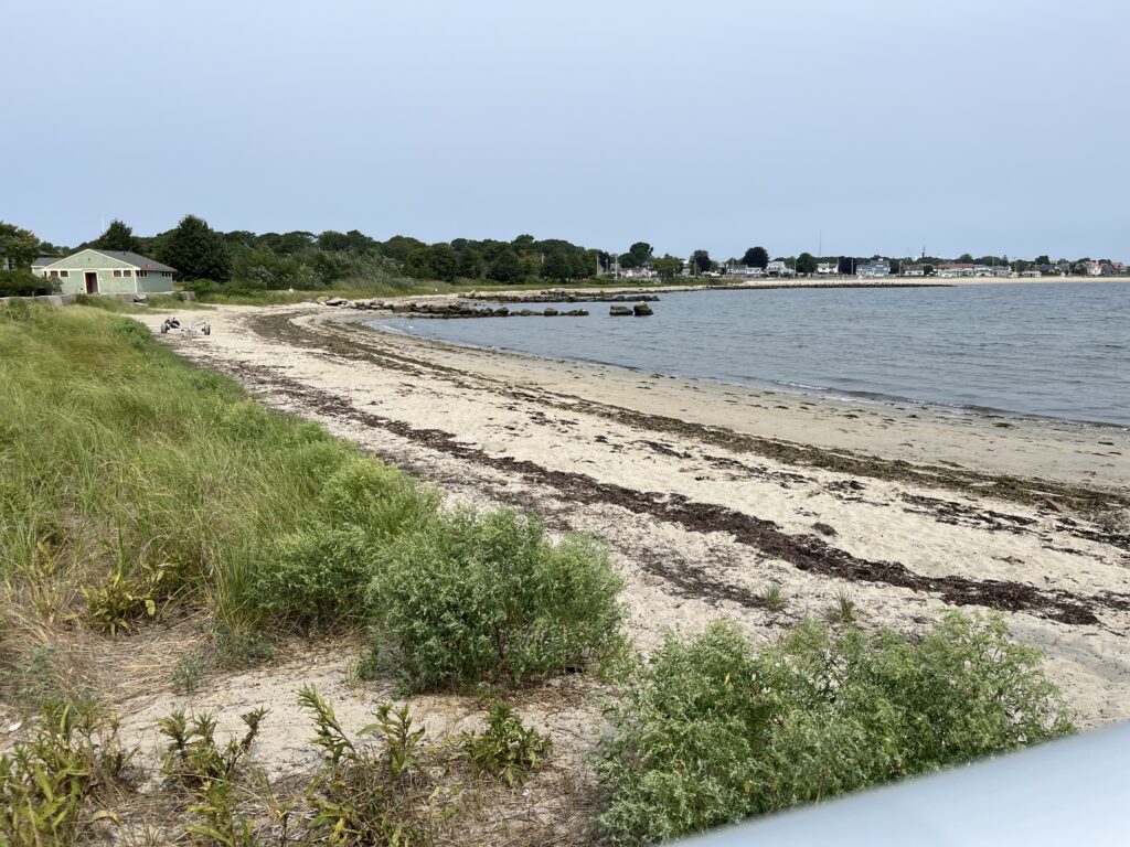 a beach with grass and sand (MyCoast AI)
