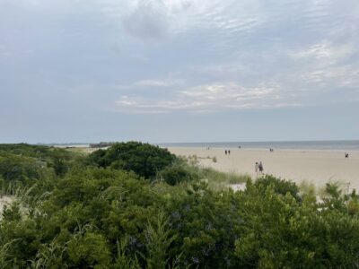 a group of people walking on a beach (MyCoast AI)