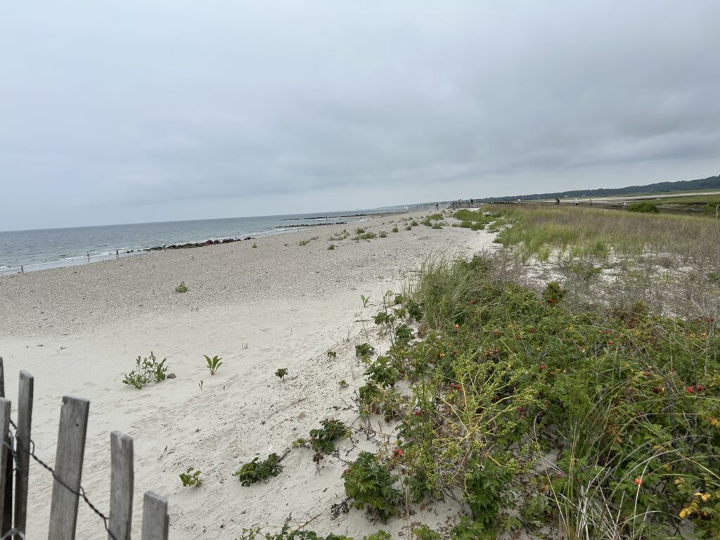 a beach with a fence (MyCoast AI)