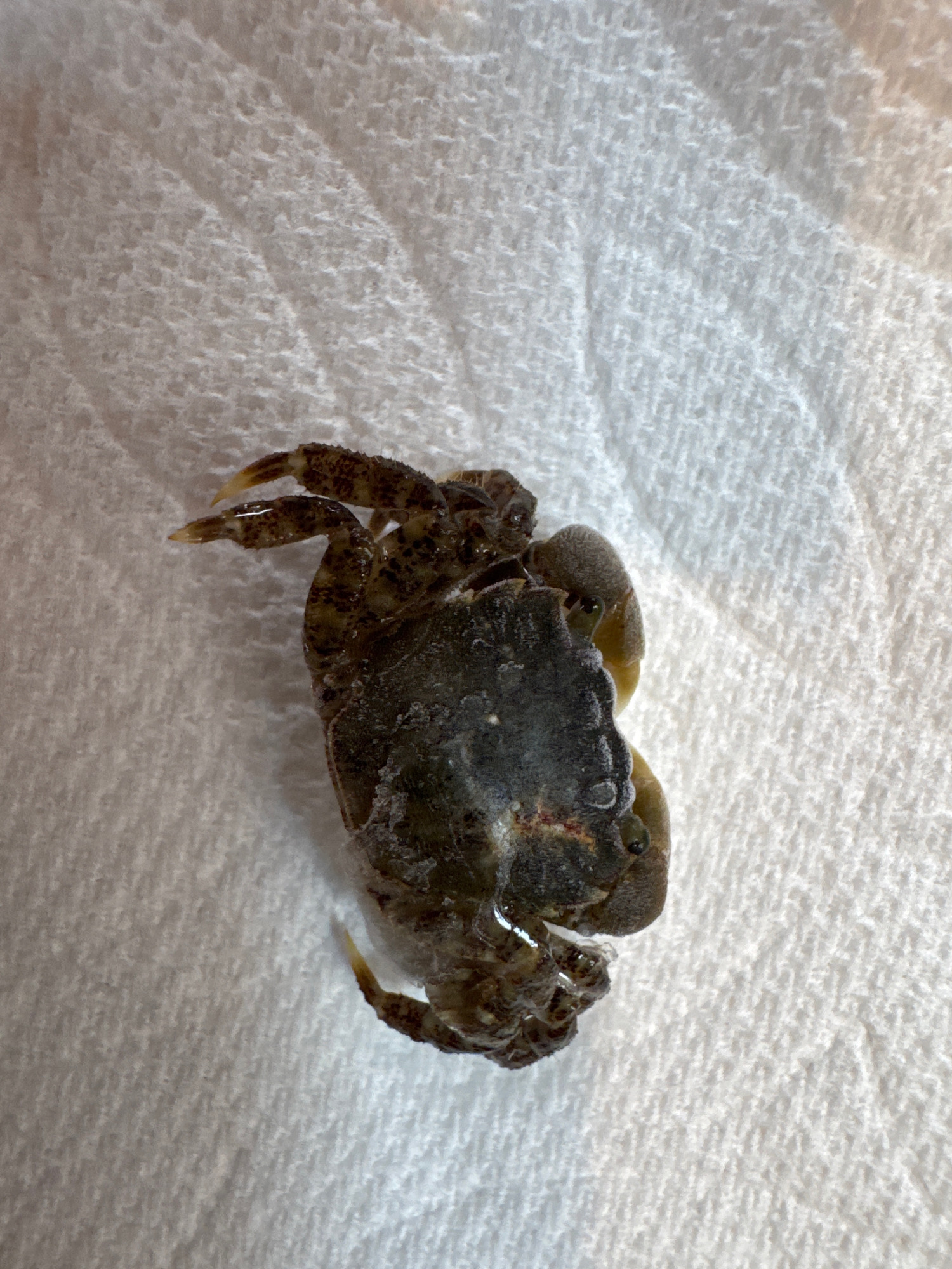 27eb1244c84b6f9b8b4afa6ff82b24b807f38494