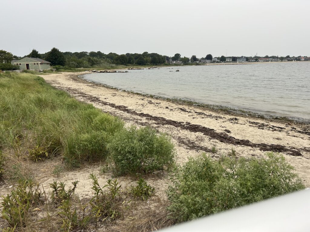 a beach with grass and water (MyCoast AI)