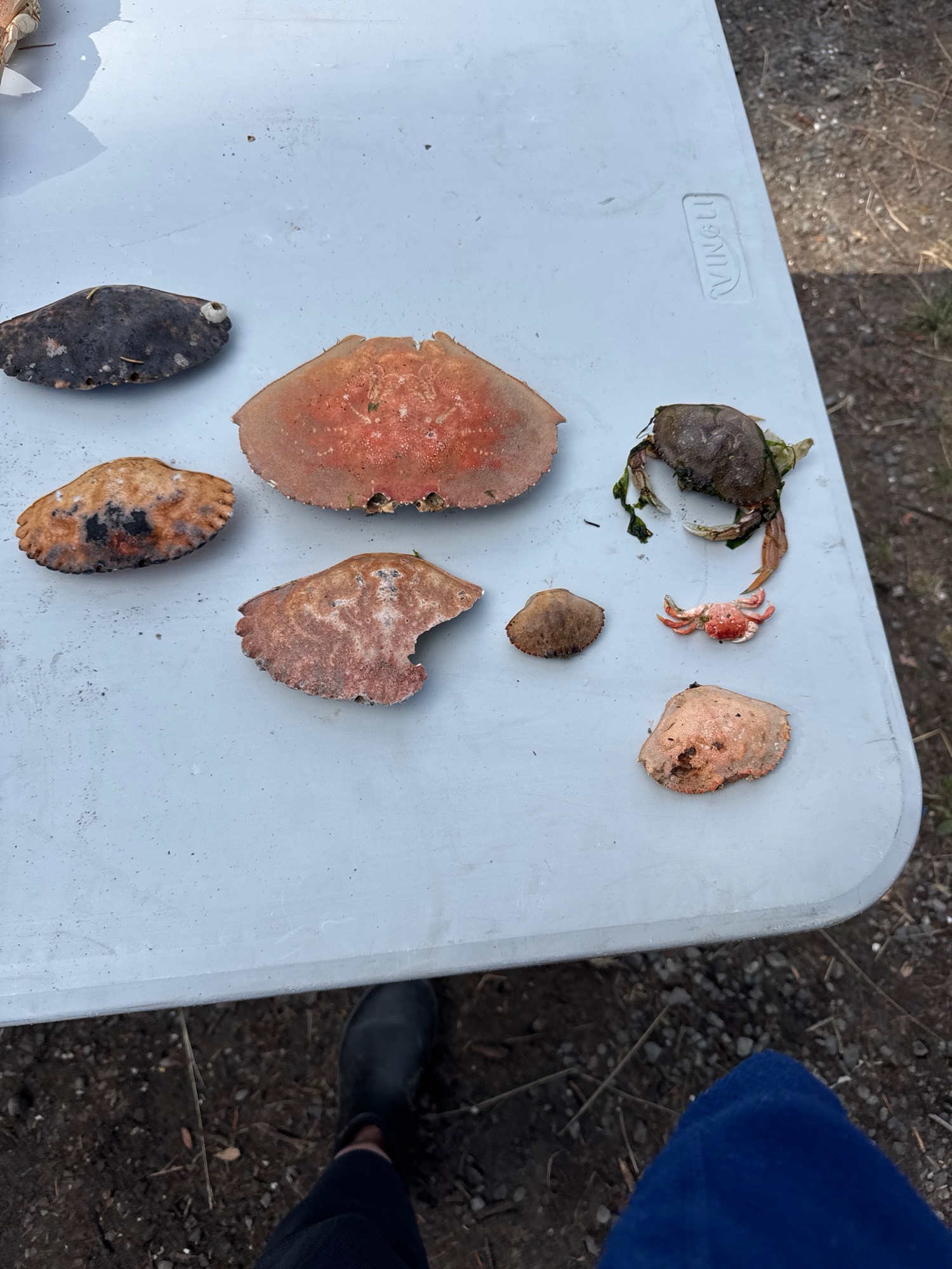 d860b079f96450e435957a0c204263d7aee0e0c1