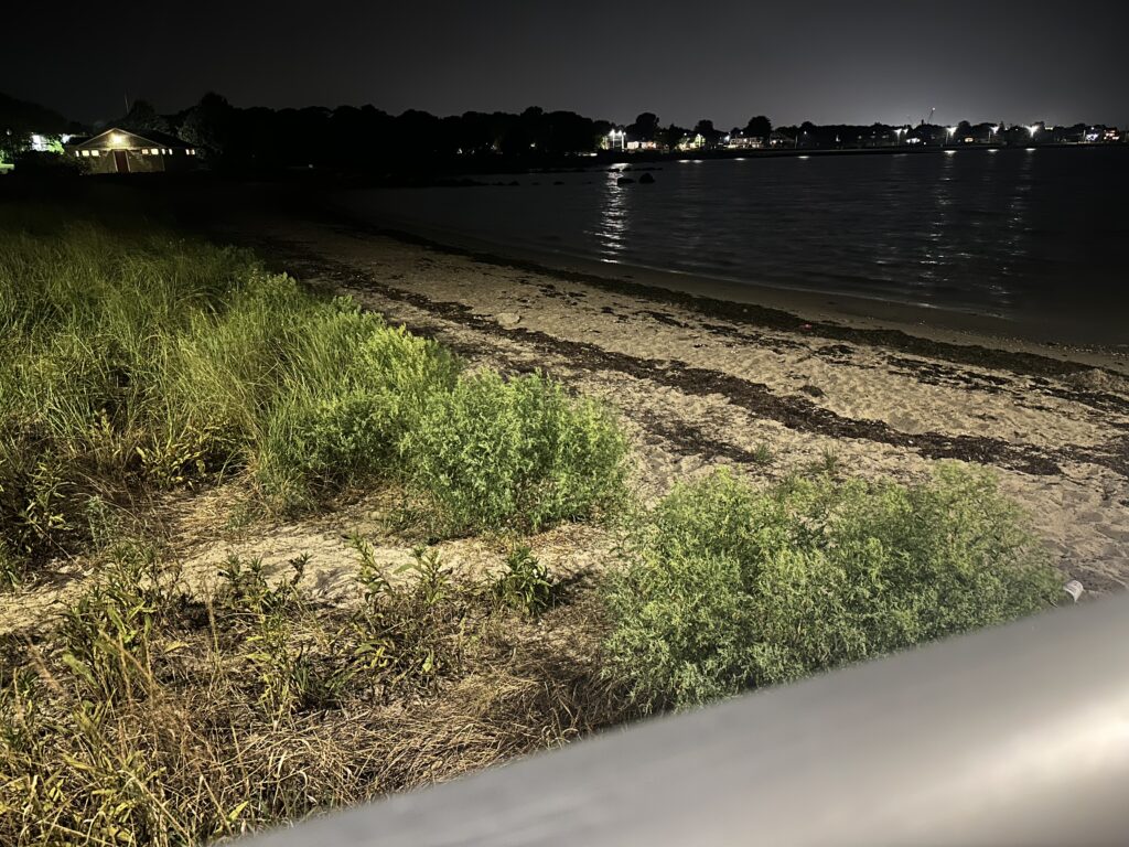 a beach with grass and water (MyCoast AI)