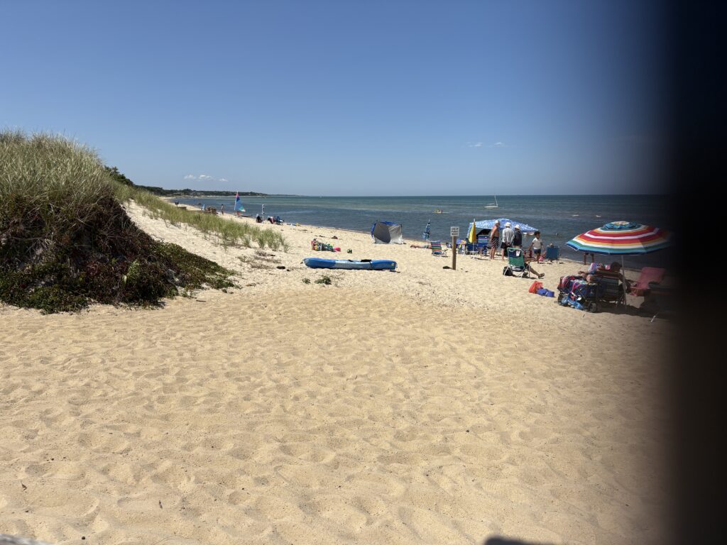 a beach with people and umbrellas (MyCoast AI)