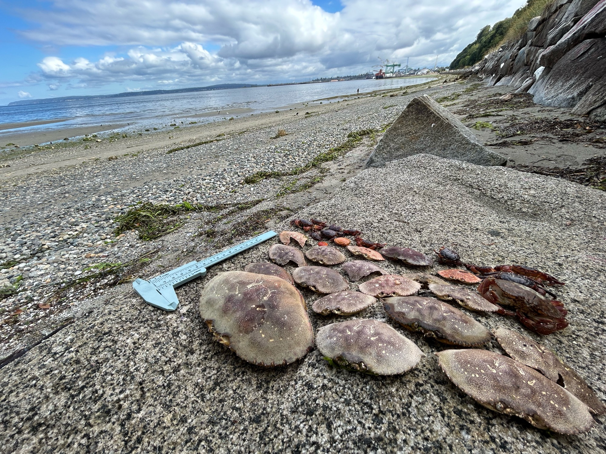 5fee1a306d72e8b76527ce3fcdb1f330a0dcccd9