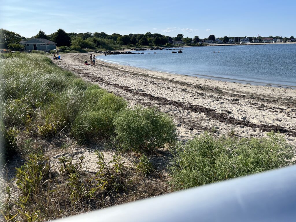 a beach with a body of water (MyCoast AI)