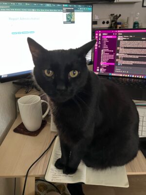 a black cat sitting on a desk (MyCoast AI)