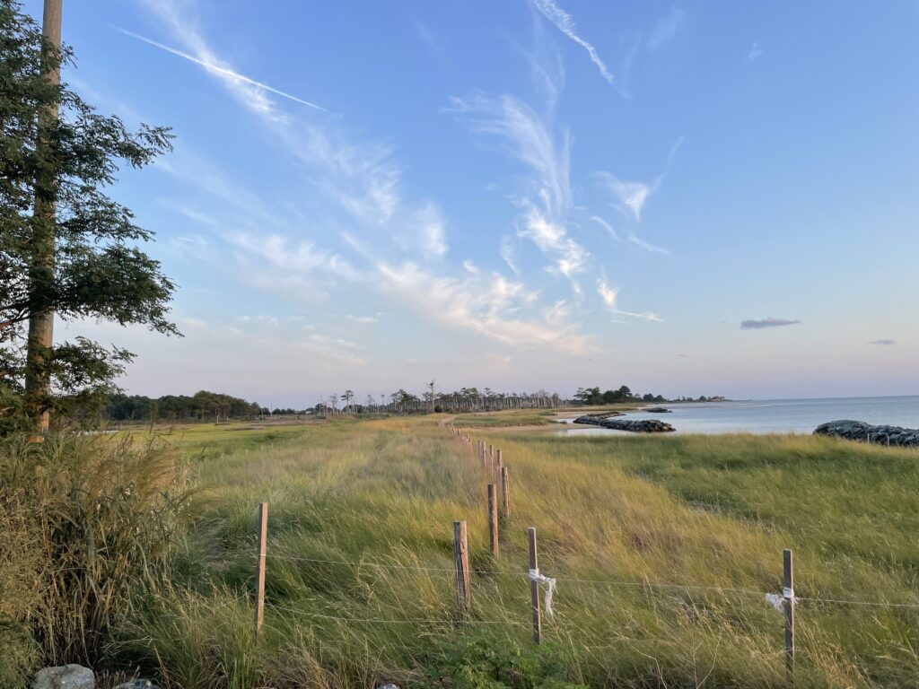 a grassy field with a fence and a body of water in the background (MyCoast AI)