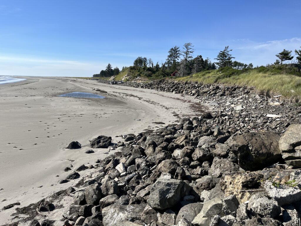 a rocky beach with trees and grass (MyCoast AI)