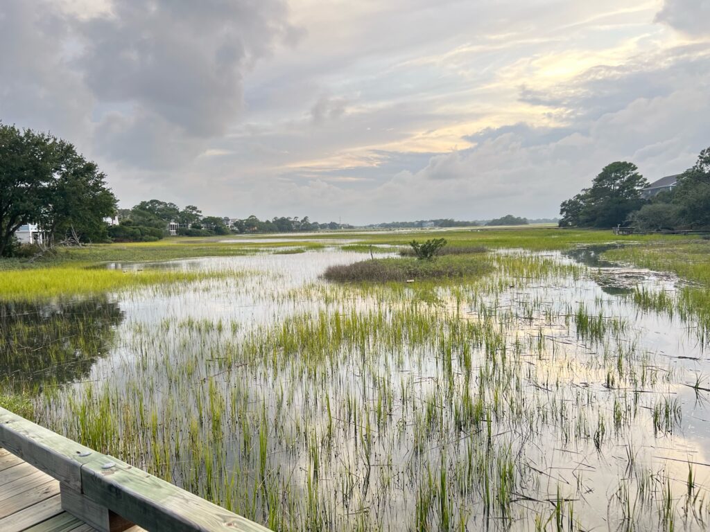 a body of water with grass and trees around it (MyCoast AI)
