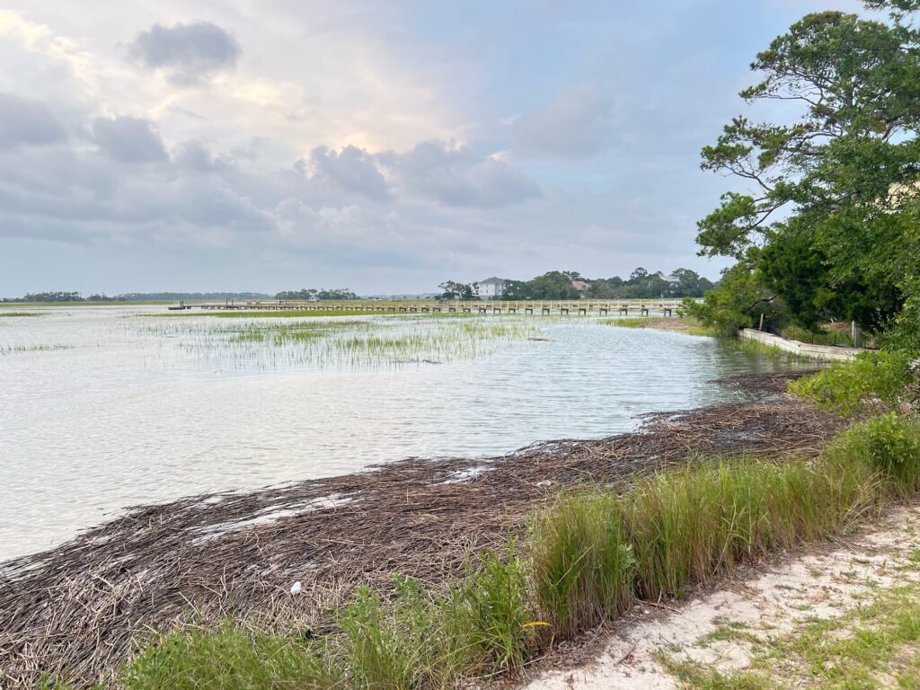 a body of water with grass and trees around it (MyCoast AI)