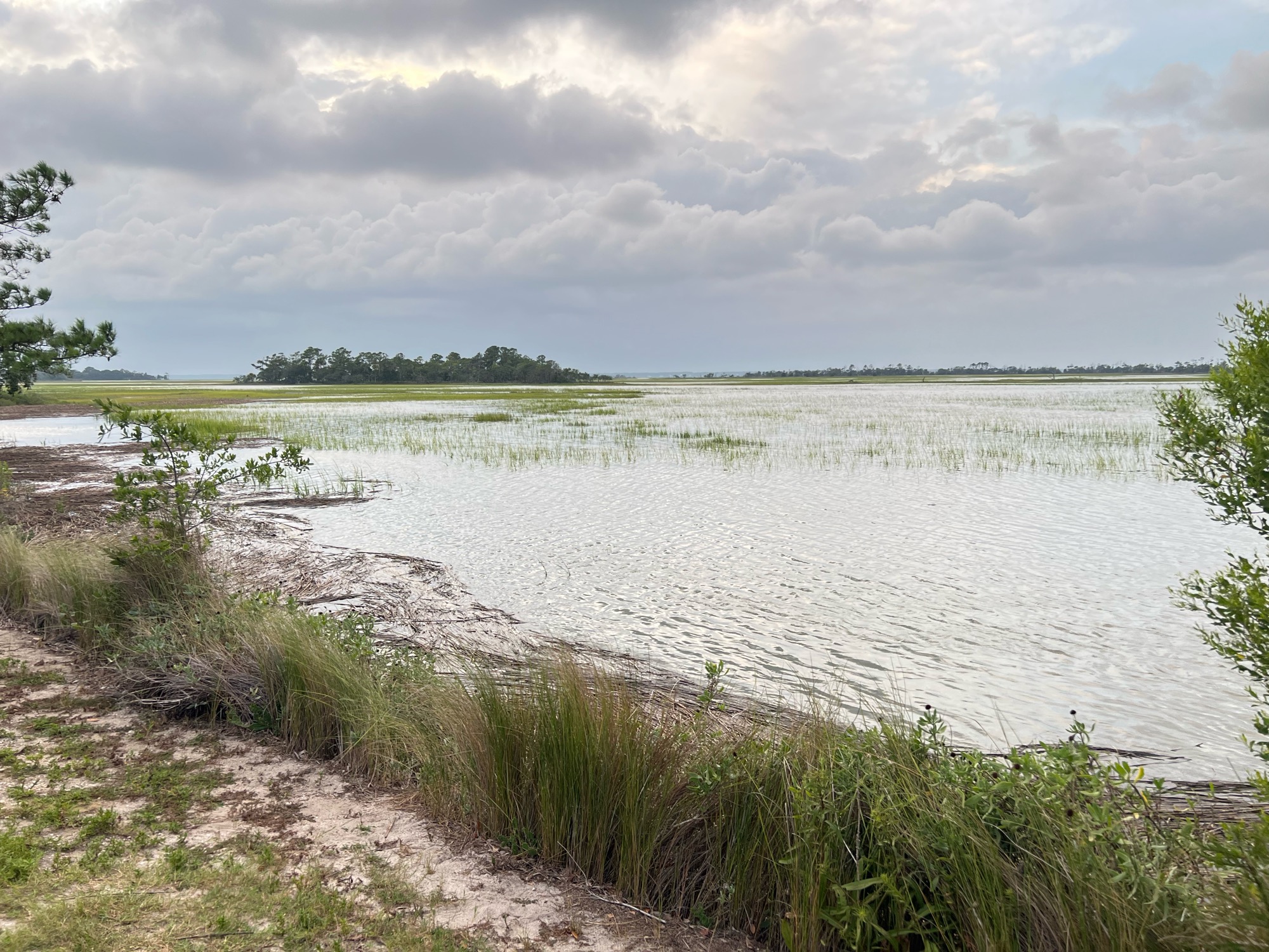 36381b3f693c089afab5d4043f7db0a2380afe9a