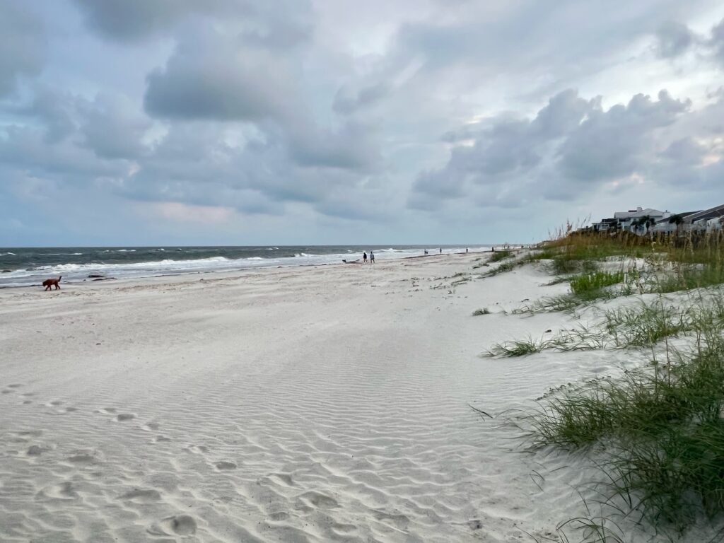 a beach with people walking on it (MyCoast AI)