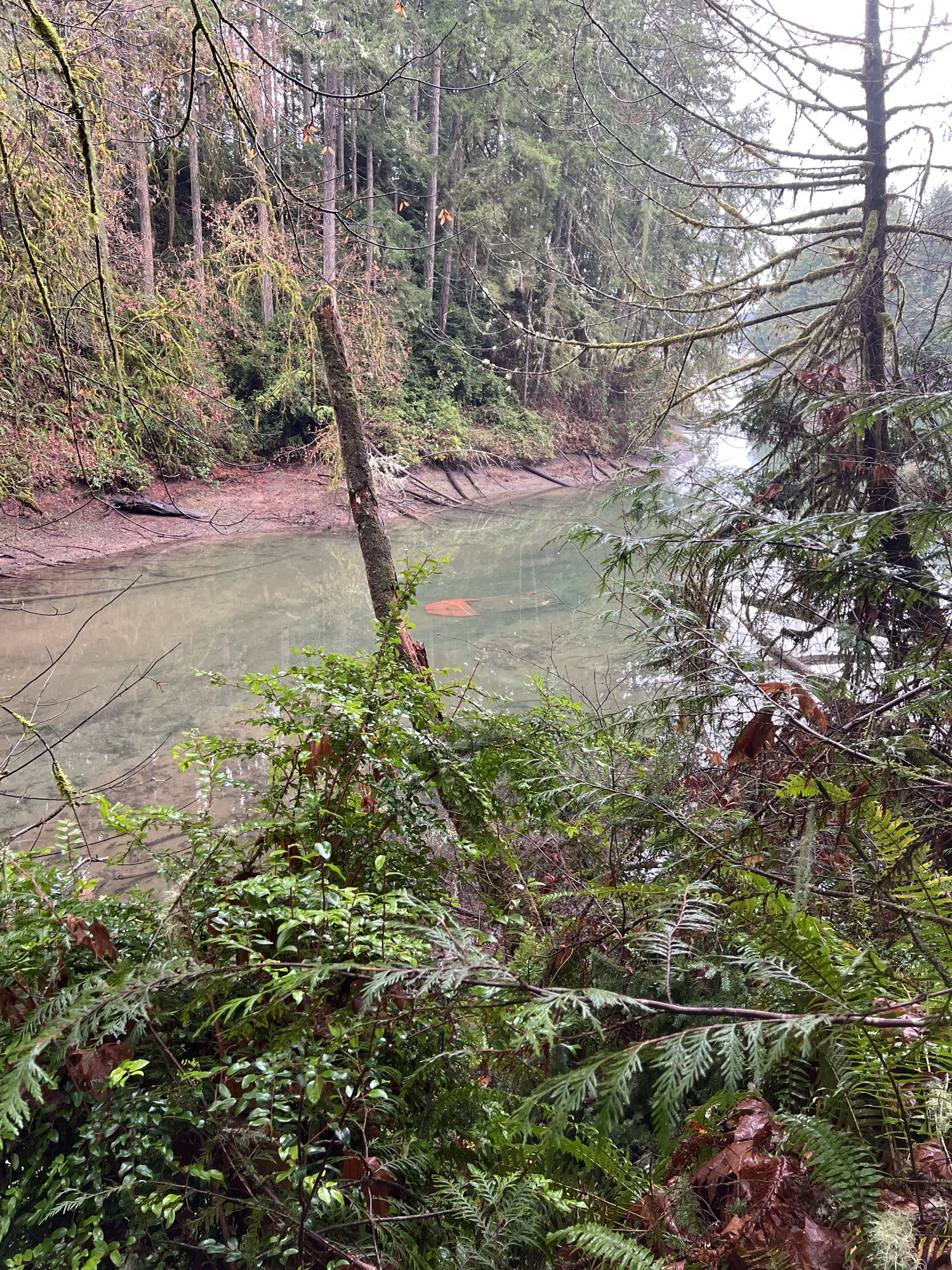 7727eff44d8e08cf4be0546138b057d913b1cd81