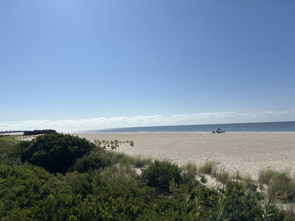 a sandy beach with trees and bushes (MyCoast AI)