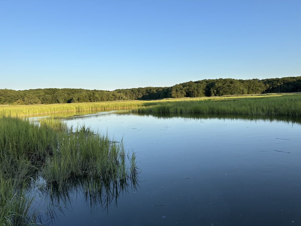 a body of water with grass and trees around it (MyCoast AI)
