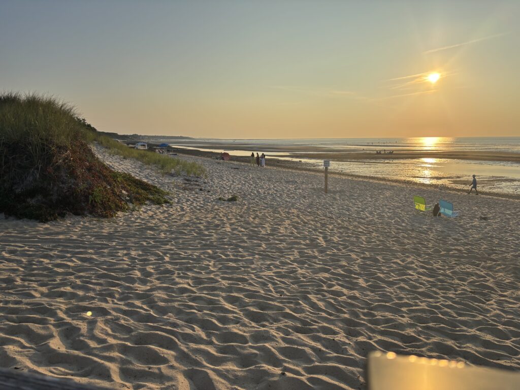 a beach with people on it (MyCoast AI)