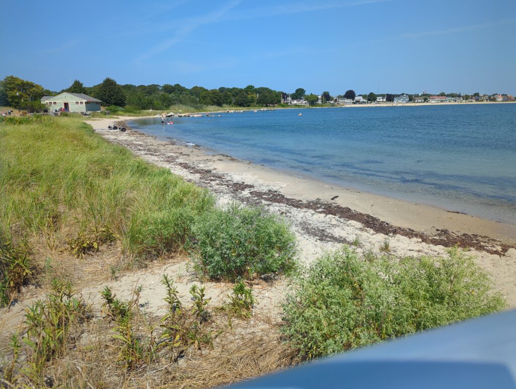 a beach with a body of water (MyCoast AI)