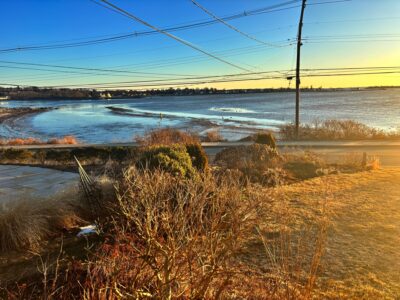 a beach with grass and water (MyCoast AI)